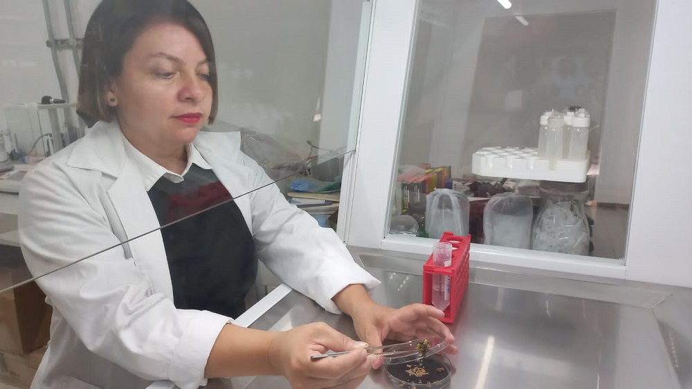 CEREMONIA DE FIN DE CURSOS DE LA MAESTRA EN CIENCIAS FORENSES 02