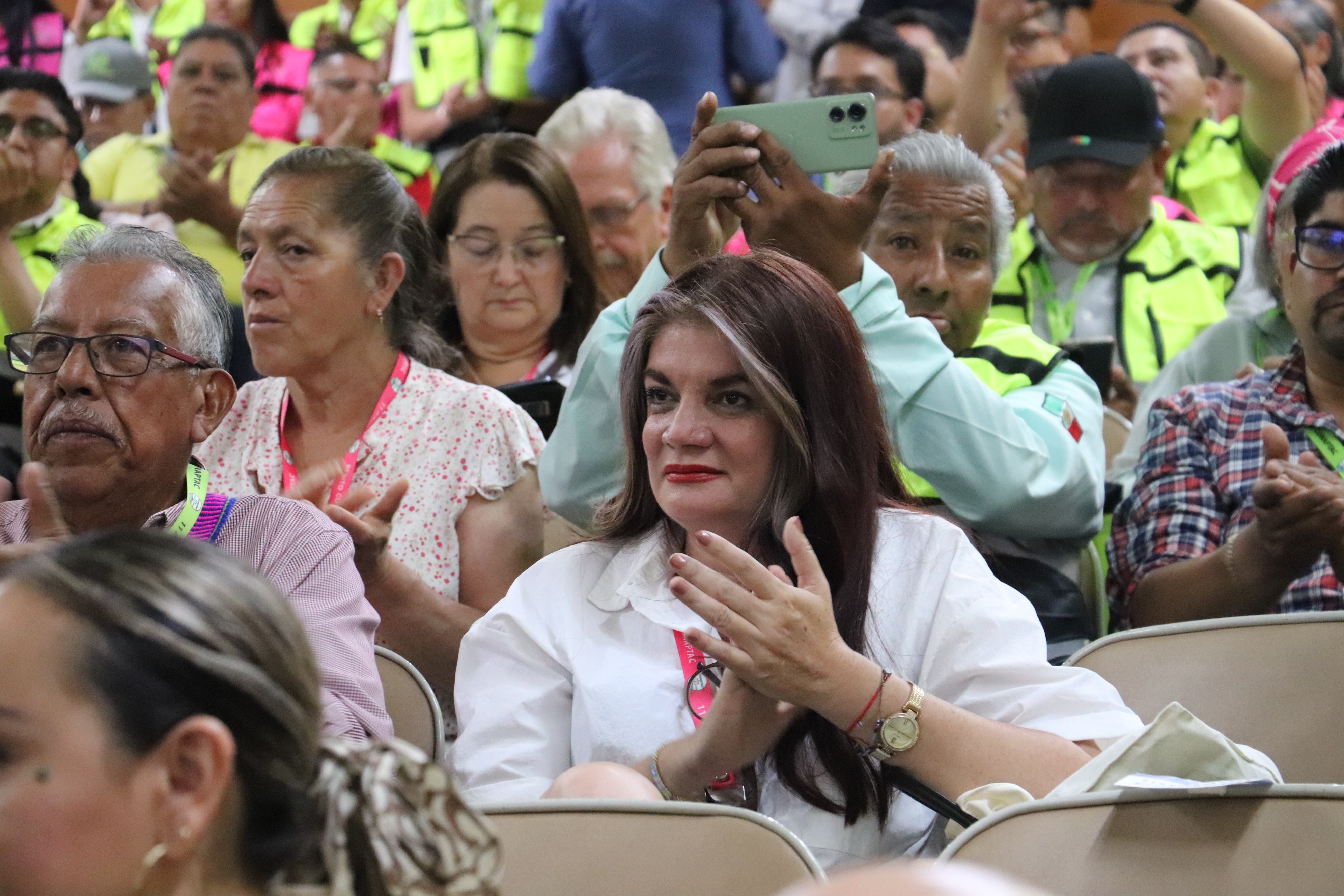 profesionistas