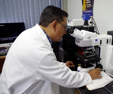 profesor-investigador-ug