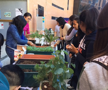 jornada-de-medio-ambiente-y-creatividad-ug-ugto-