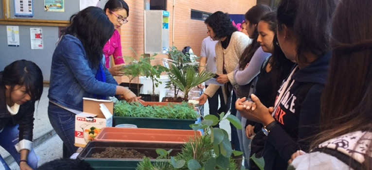 jornada-de-medio-ambiente-y-creatividad-ug-ugto