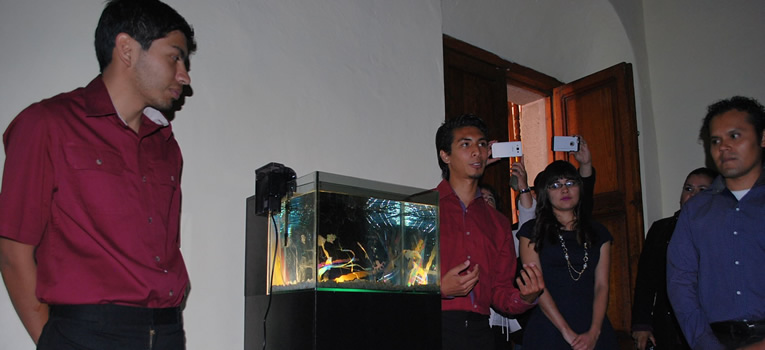 exposicion-una-artista-llamada-luz-universidad-guanajuato-ug