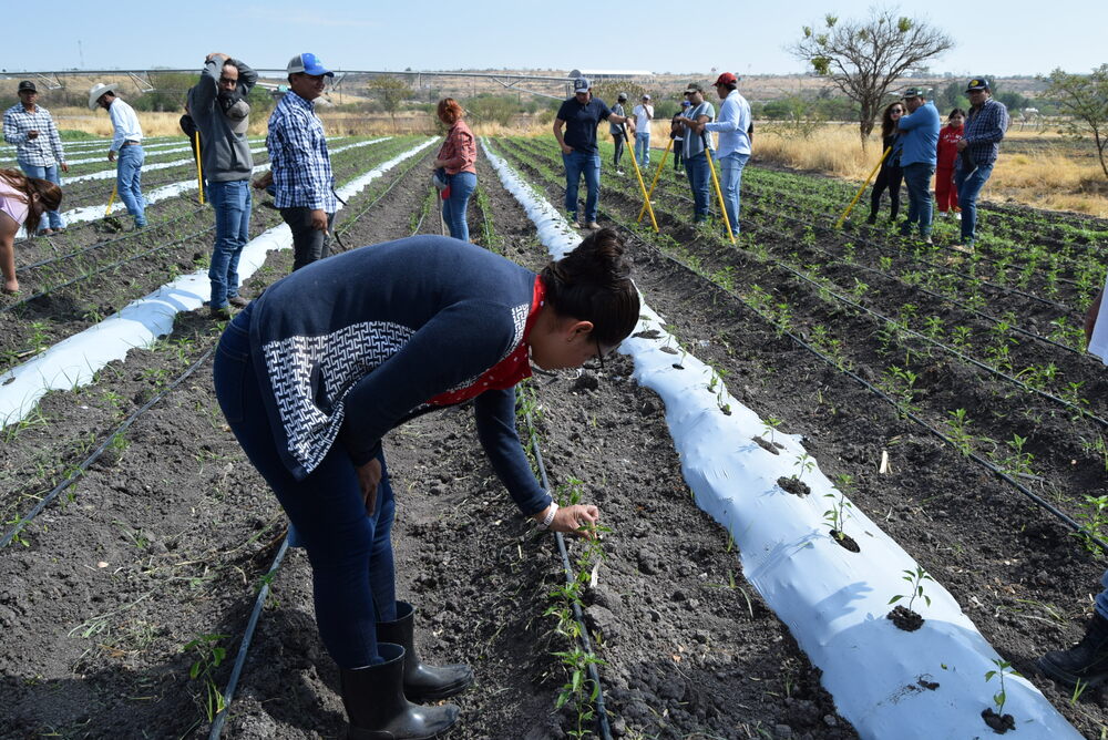 ninas en la ciencia 01