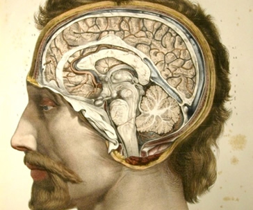 coloquio-internacional-pensamiento-complejo-universidad-guanajuato-ug-