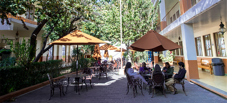 maestria-linguistica-aplicada-universidad-guanajuato-ug-ugto