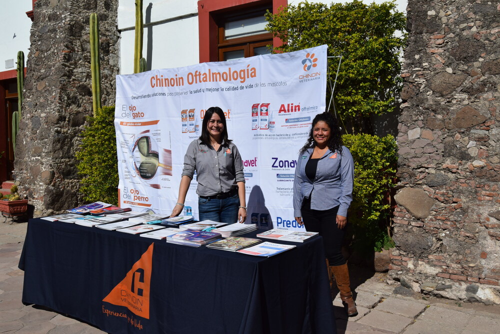 ninas en la ciencia 01