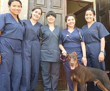 abre-copal-clinica-pequenas-especies-ug-ugto-