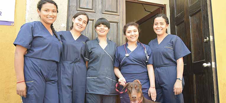 Abre en El Copal la Clínica de Pequeñas Especies de la UG | (UG,UGTO) abre-copal-clinica-pequenas-especies-ug-ugto