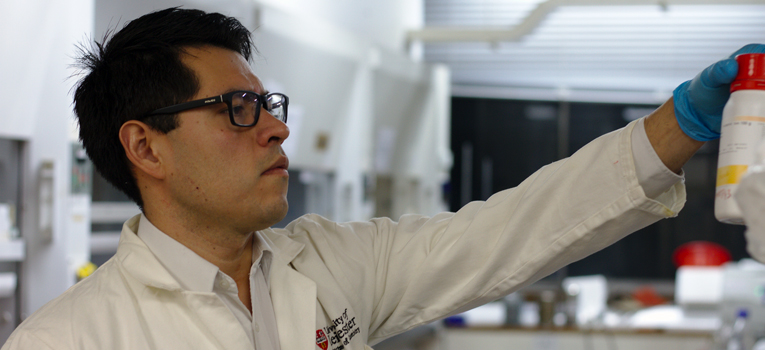 nanotecnologiaug-ug-ugto