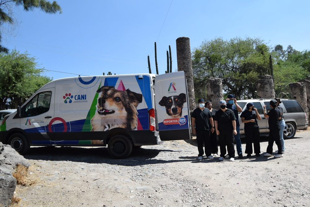 ninas en la ciencia 01