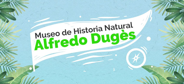 duges-ugto-ug