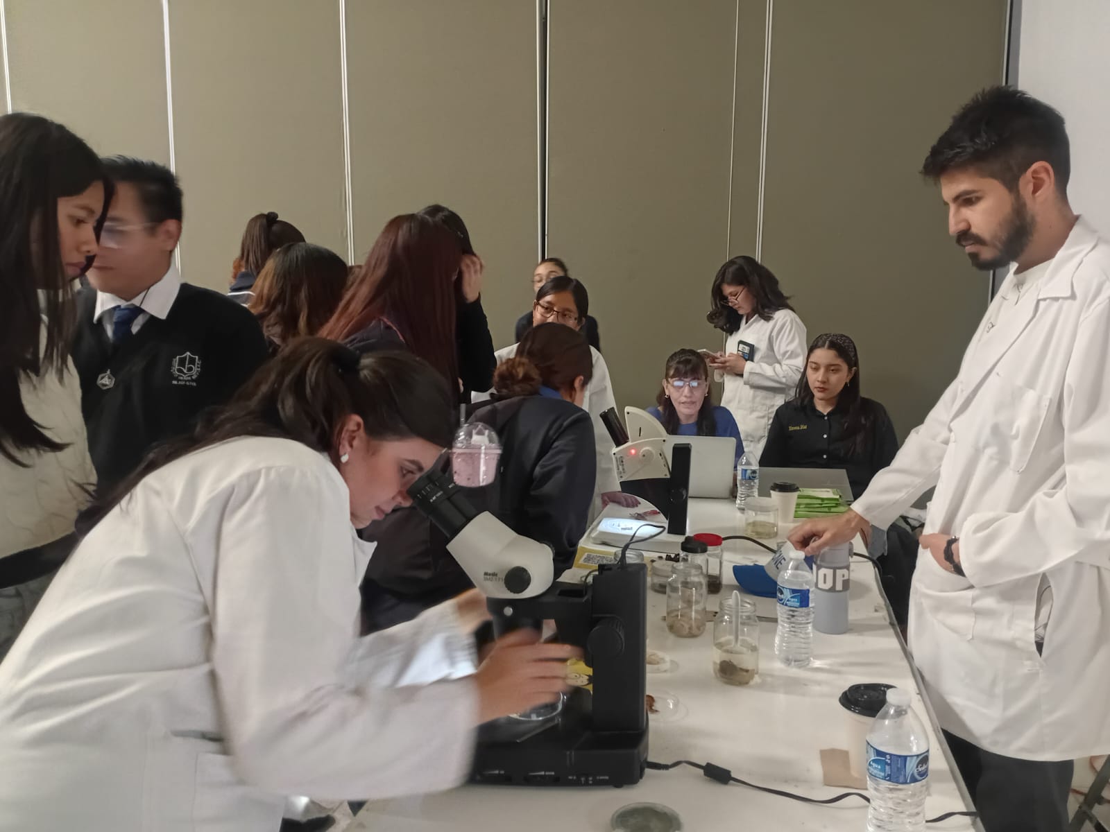 muestra profesiografica 3