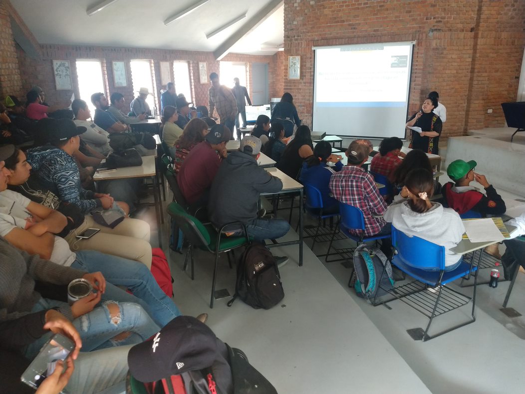 ninas en la ciencia 01