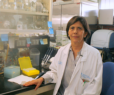 crean-cientificos-biopesticidas-base-hongos-ug-ugto-