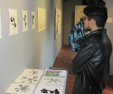 exposiciones-artes-visuales-universidad-guanajuato-ug-ugto-