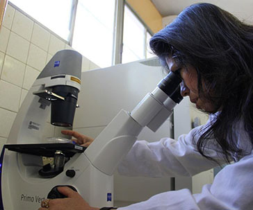 investigadoresugto-ug-