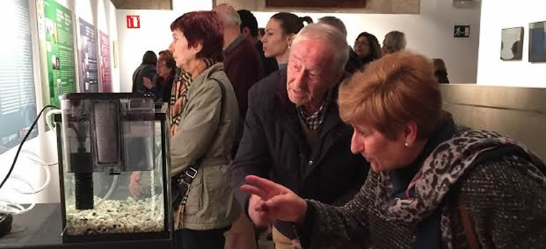 pecera-magica-cristina-gomez-sarabia-universidad-guanajuato-ug-1