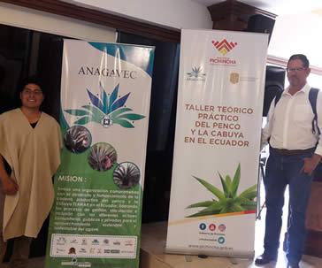 profesor-ug-coopera-en-el-manejo-de-agave-andino-en-el-ecuador-ug-ugto-
