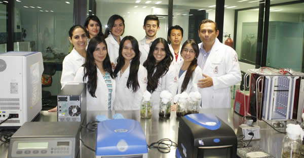 bacteria-biofertiliza-agave-uag