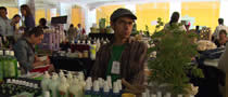 tianguis-ecologico-