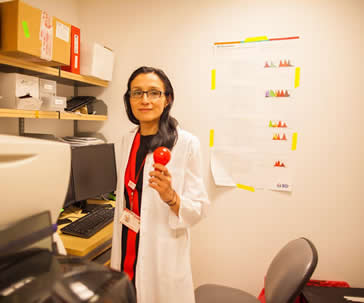 dra-monica-guzman-usa-su-laboratorio-para-combatir-a-la-leucemia-ug-ugto-
