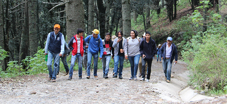 cinug-participa-reforestacion-pinal-zamorano-universidad-guanajuato-ug-ugto