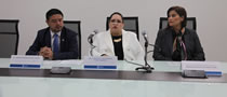 catedra-excelencia-politica-publica-universidad-guanajuato-ug-