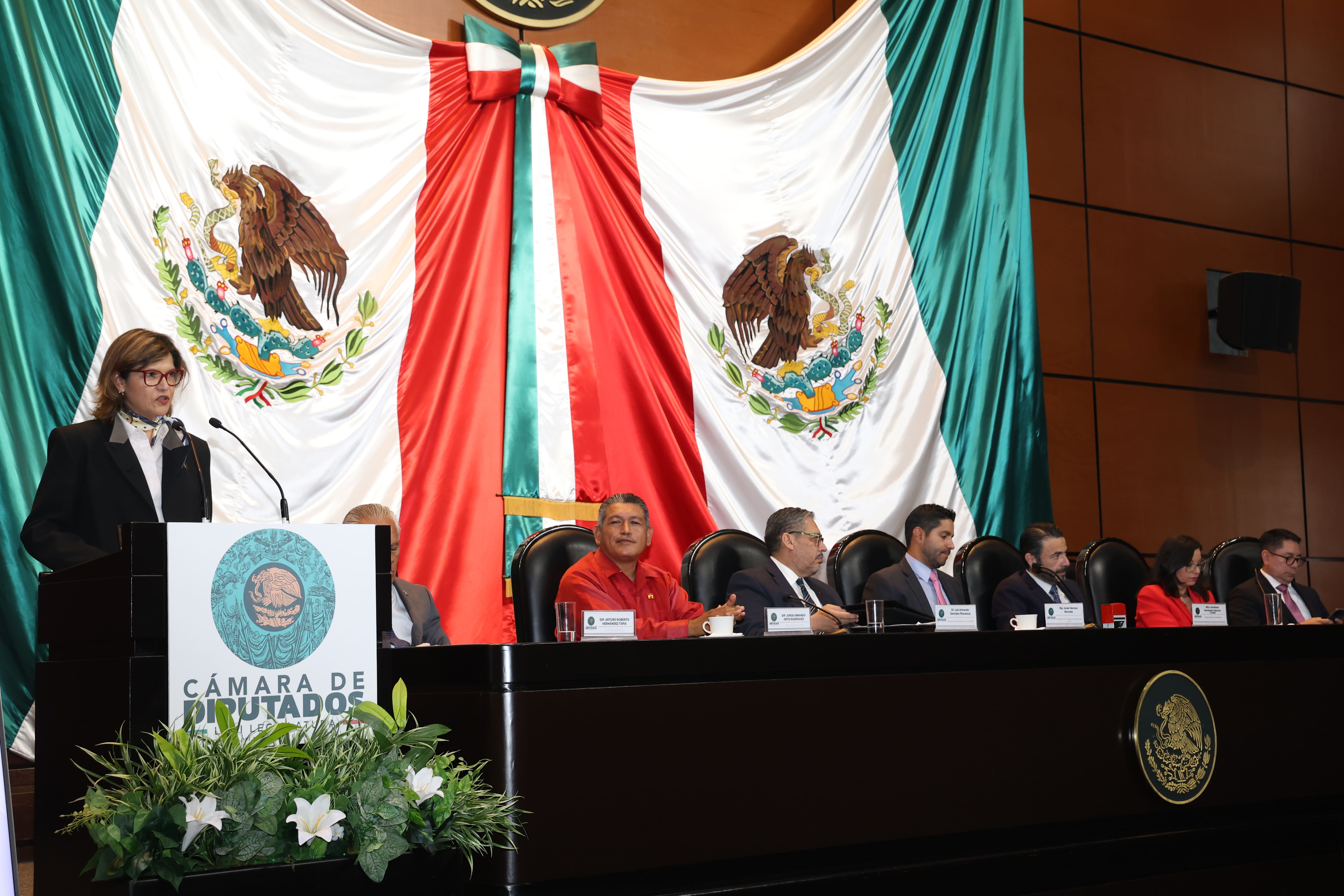 entrega estados financieros auditados 8