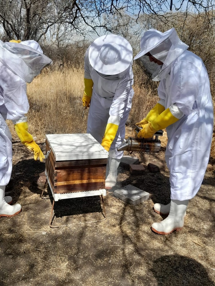 ninas en la ciencia 01