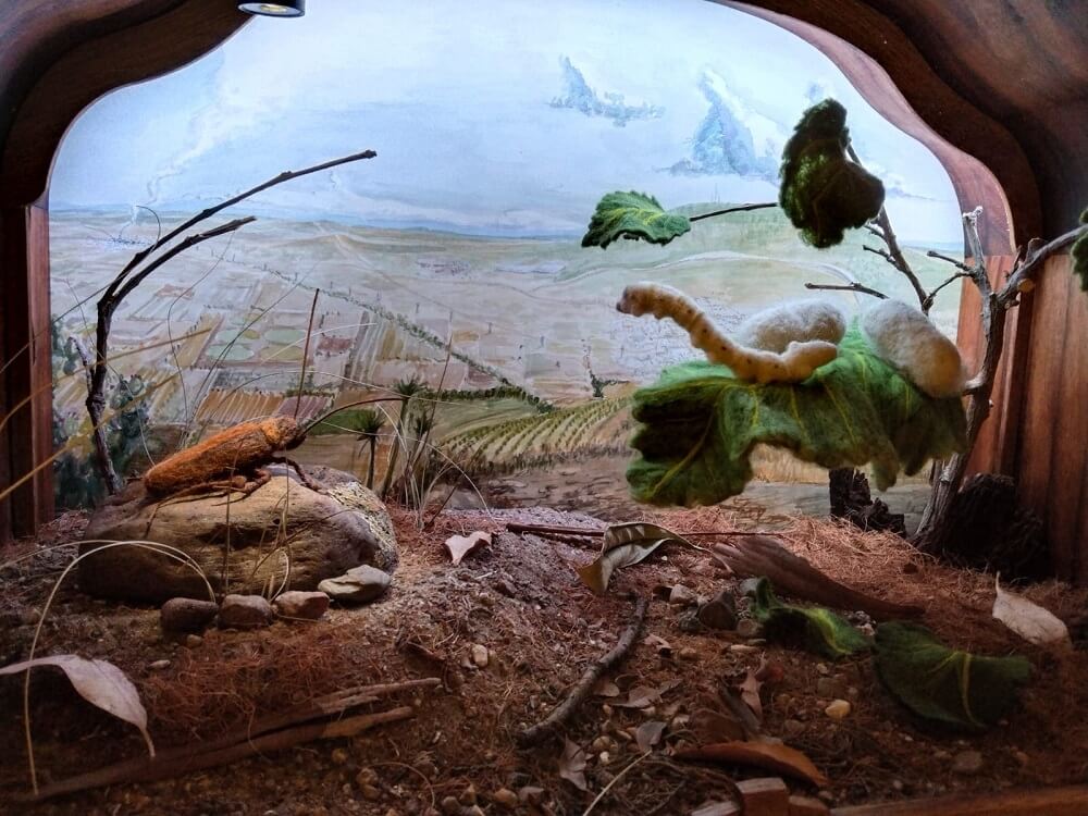 CEREMONIA DE FIN DE CURSOS DE LA MAESTRA EN CIENCIAS FORENSES 01