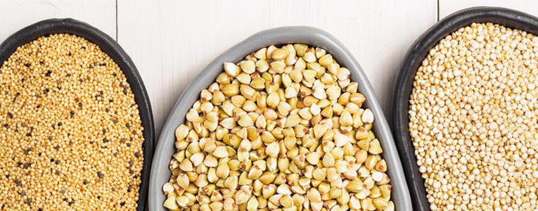 valor-nutritivo-amaranto-quinua-uadec-adriana-flores-gallegos