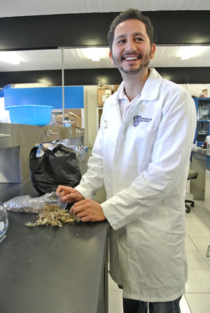 investigadores-ug-buscan-toxicidad-en-plantas-medicinales-con-propiedades-ansioliticas-ugto