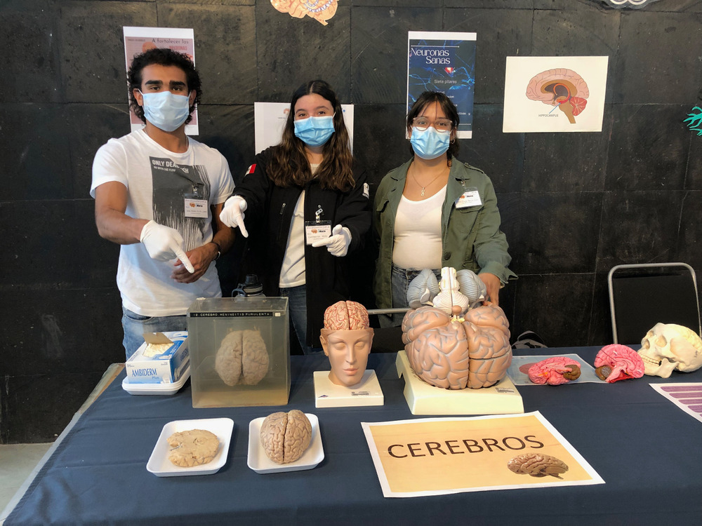 ninas en la ciencia 01