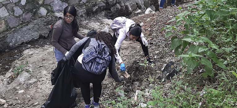 gruposorganizadostrabajanmedioambiente-ug-ugto