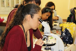 ciencia-impacto-social-ug