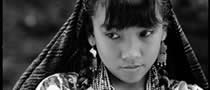 ug-amistad-mexico-japon-